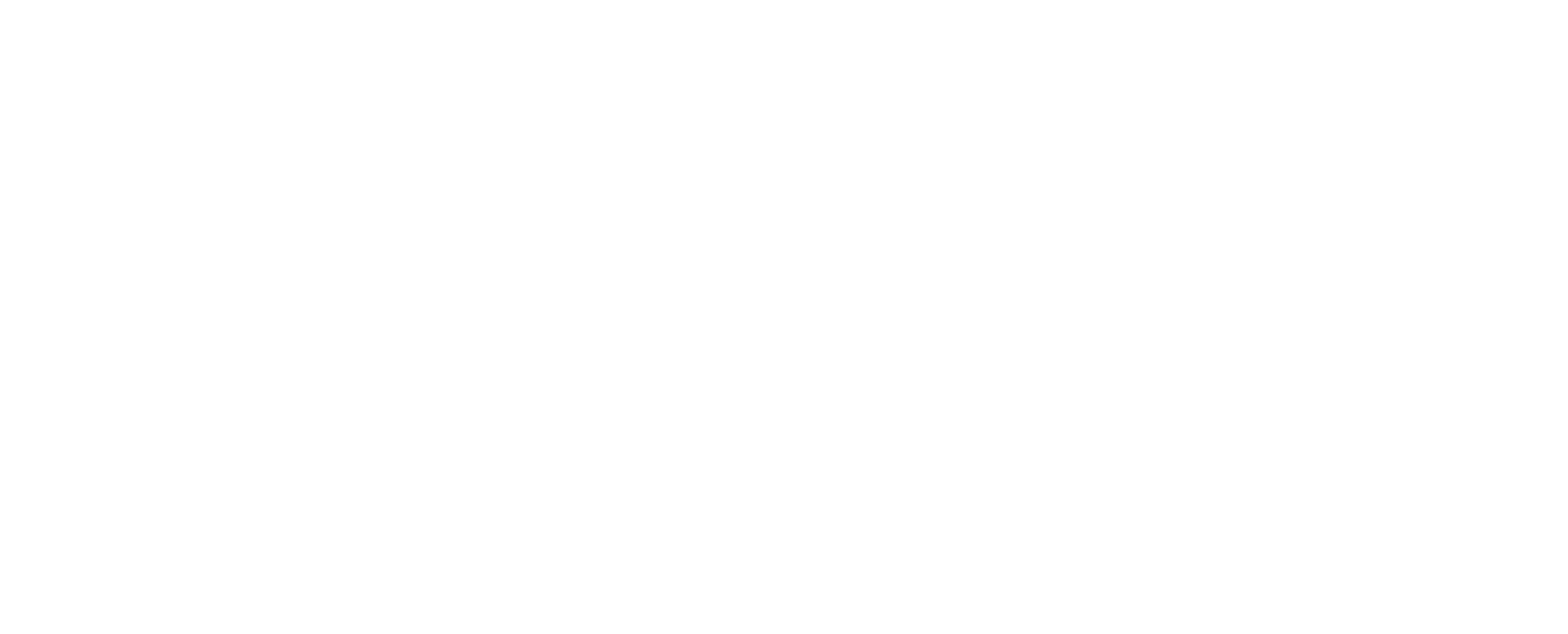 Code Node Logo